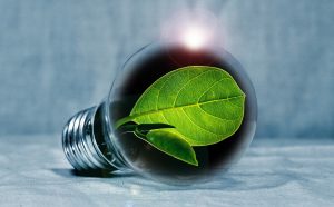 Zelený růst a ekoinovace