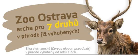 pololetn-pr-zdniny-v-zoo-ostrava-zdrav-ova