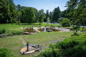 Plesenský park - revitalizace