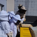 Foto_2_ ZŠ Ostrava_Gen_ Píky 13A