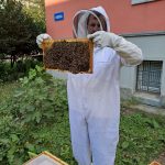 Podpořený projekt Svět včel na Matiční_zdroj ZŠ Matiční (2)