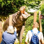 zoo Hroch obojživelný1_foto M. Vlčková