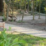 IMG_20250801_075545