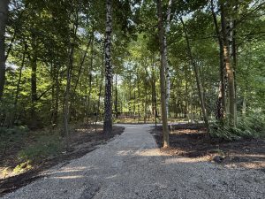 IMG_6394