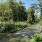 Lučina