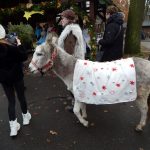 Koledování v Zoo Ostrava_foto V. Mácha Koledování v Zoo Ostrava_foto V. Mácha