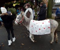 Koledování v Zoo Ostrava_foto V. Mácha
