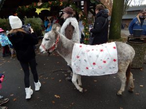 Koledování v Zoo Ostrava_foto V. Mácha