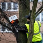 Instalace ptačích budek-foto Lukáš Kaboň Instalace ptačích budek-foto Lukáš Kaboň