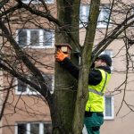 Instalace ptačích budek_1-foto Lukáš Kaboň Instalace ptačích budek_1-foto Lukáš Kaboň