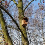 Ptaci_budky_montaz_2022 _MMO Ptaci_budky_montaz_2022 _MMO