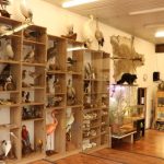 zoo Výukové centrum_foto V.Máchová (002)