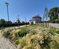 Zelená pro Ostravu_Polanka (3)