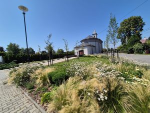 Zelená pro Ostravu_Polanka (3)