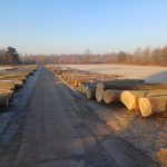 Aukce dříví_5_zdroj Ostravské městské lesy a zeleň