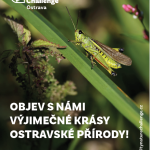 Snímek obrazovky 2026-03-26 114508