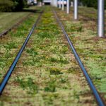 Ozelenění tratí Ostrava_Lukáš Kaboň Ozelenění tratí Ostrava_Lukáš Kaboň